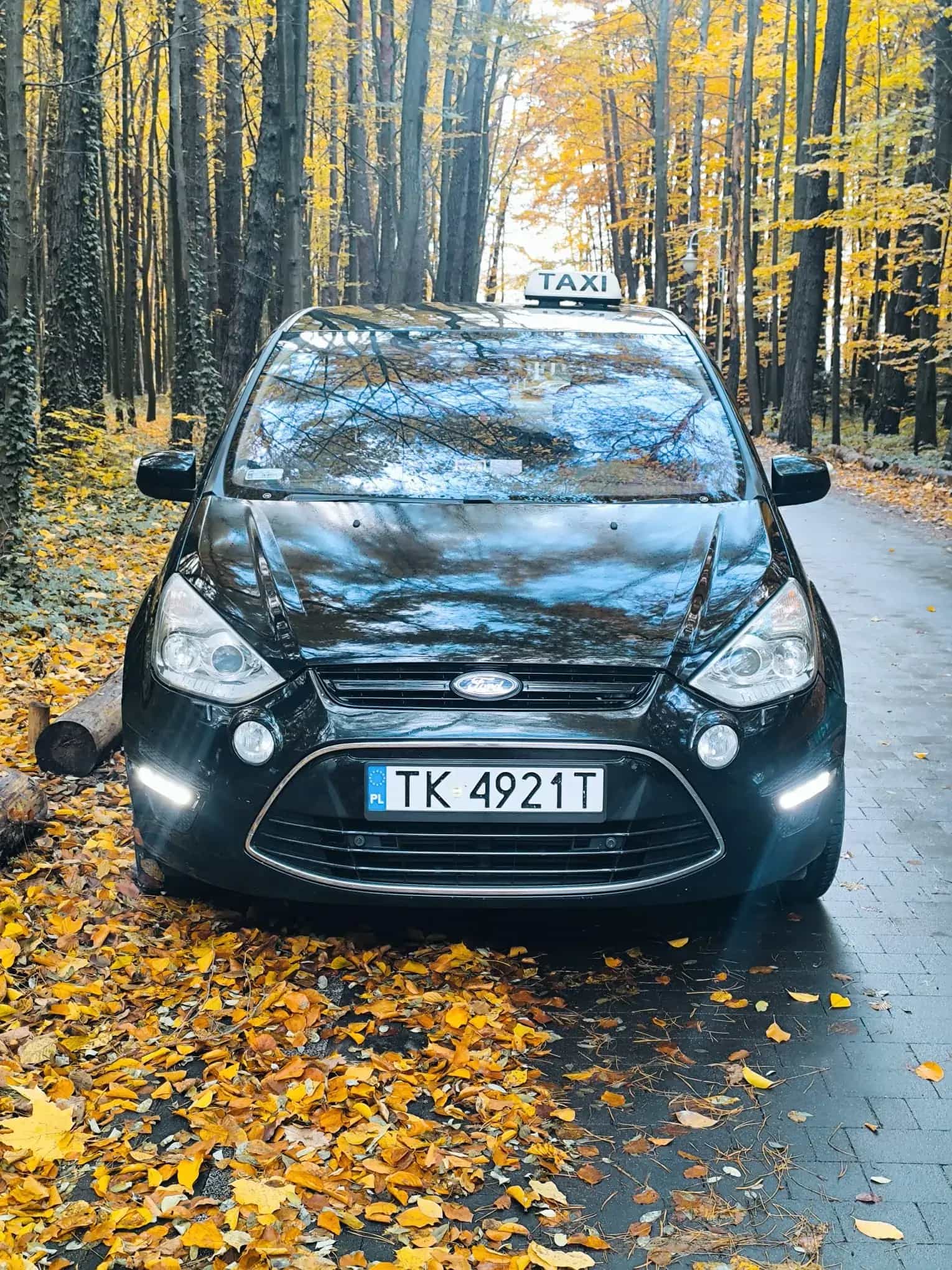 Flota Radio Taxi Alfa 6